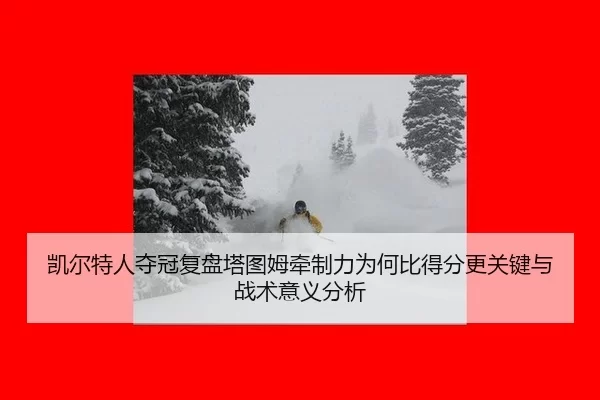 kai-er-te-ren-duo-guan-fu-pan-ta-tu-mu-qian-zhi-li-wei-he-bi-de-fen-geng-guan-jian-yu-zhan-shu-yi-yi-fen-xi-2-725.jpg